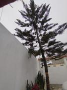 Top Santa Elena