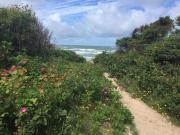 Secluded Oasis with Pool - By Traum Ferienwohnungen