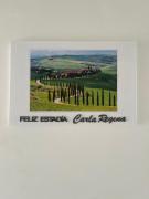 Departamentos Carla Regina