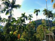 Cool Breeze View