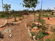 Digital Detox with 100 Animals Nature Stay