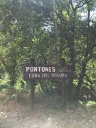 Top Pontones