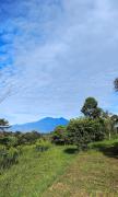 Top Puncak