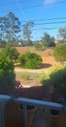 Top Algarrobo