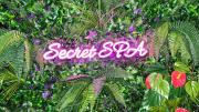 Secret SPA Jacuzzi & Cinema
