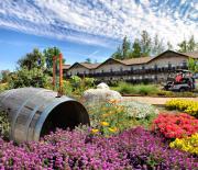 Top Temecula