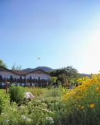 Top Temecula