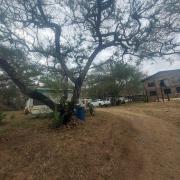 Top Barberton