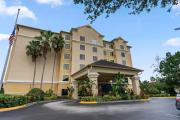 Top Orlando