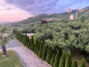 Sea and Natural Adalet Suits