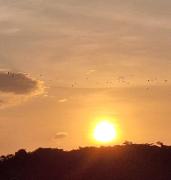 Top Cartagena de Indias