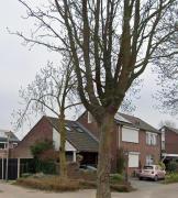 B&B Op de Bongerd, de Tiny House beleving!