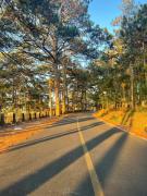 Resort Hoa Sim Da Lat