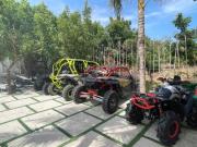 Top Ấp Nhơn Ðúc