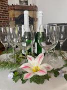 Top Łagów Top Łagów