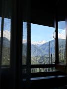 Top Pelling
