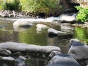 Les Lavandes Pornichet