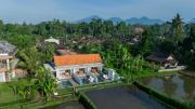 The Surana Villas Ubud with Rice Field View