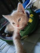 Affittacamere Paradiso, turismo rurale