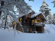 Ahmanpesä Visit Levi