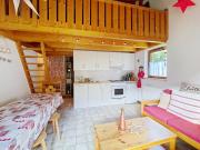 Forsythia FA29 FAMILY 1& NATURE 8 Pers