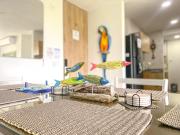 Top Playa Bello Horizonte Top Playa Bello Horizonte