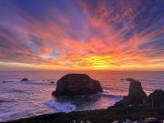 Top Bodega Bay