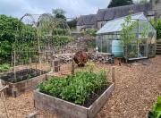 Charming Gower Mill Cottage