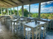 Top Foiano della Chiana