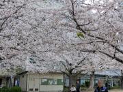 2階 難波駅の真横に位置するモダンアパートメント ベッド5台 シャワー2台