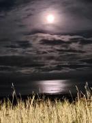 Top Newbiggin-by-the-Sea Top Newbiggin-by-the-Sea