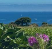 Top Cléden-Cap-Sizun