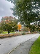 Top Sundbyberg Top Sundbyberg