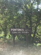 Top Pontones