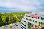 Top Tunis