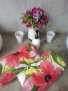 Annas House with pool