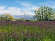 Top Villanueva de la Vera