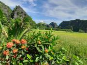 Tam Coc Homestay