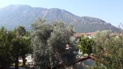 Top Oludeniz