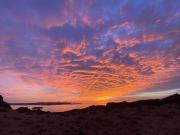 Top Punta Choros Top Punta Choros