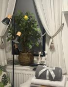 Top Gdynia Top Gdynia