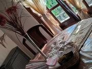 Comfort and wellness