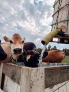 Top Ărsundsbro Top Ărsundsbro