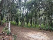 Top Villa del Carbón