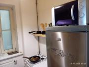 Rooseveltova Apartment Near Castle