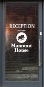 Mammut House