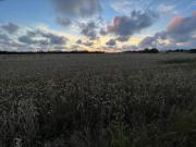 Top Henne Strand