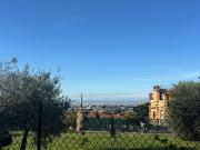 La Dolce Frascati Home