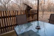 NIANI HYENA chalet