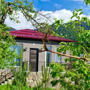 Bachos cottages Mzetamze 2